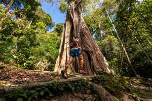 BIB: 
                            <button type="button" onclick="openModal(21898960)" class="btn btn-primary btn-sm float-right btn-popup" data-toggle="modal" data-target=".modal-high-quality">
                        <i class="fas fa-shopping-cart"></i> Add to Cart
                    </button>
                                            <button type="button" onclick="isThisMe(21898960, true)" class="btn btn-success btn-sm float-right btn-popup btn-isme hidden" data-toggle="tooltip" data-placement="bottom" title="นี่คือรูปของคุณใช่ไหม คลิกที่นี่เพื่อเอาเข้าอัลบั้ม">
                        <i class="fas fa-plus"></i> Add to album
                    </button>
                    <button type="button" onclick="isThisMe(21898960, false)" class="btn btn-warning btn-sm float-right btn-popup btn-isnotme hidden">
                        <i class="fas fa-ban"></i> Remove from album
                    </button>